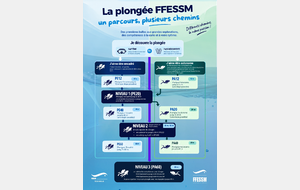 N1, N2, N3…Et si vous choisissiez votre parcours ?