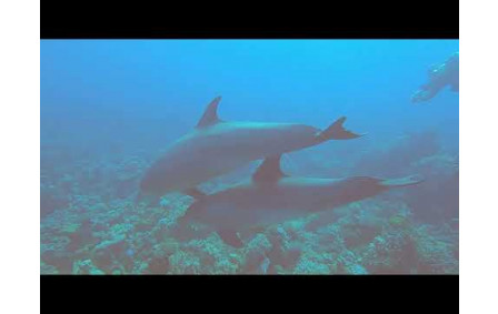 Croisière Nord Egypte Juin 2025