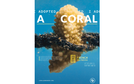 Coral Gardeners