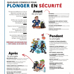 Plonger en sécurité