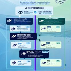 N1, N2, N3…Et si vous choisissiez votre parcours ?